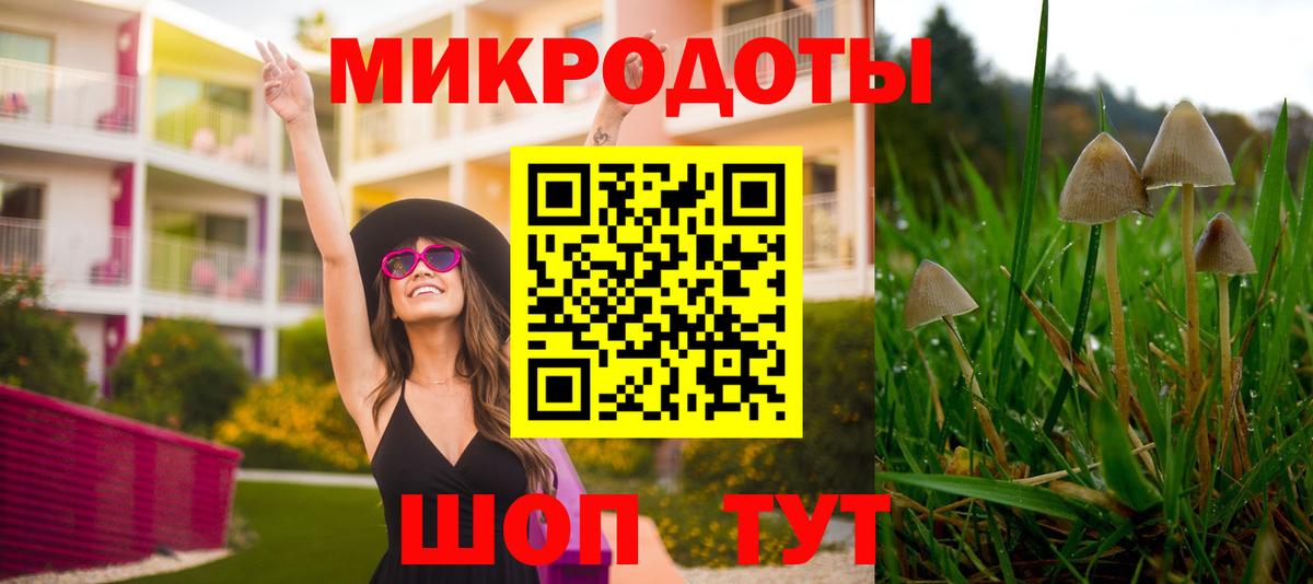 Псилоцибиновые грибы ЛСД  Вход с VPN  Псилоцибиновые грибы Cubensis  Торжок 